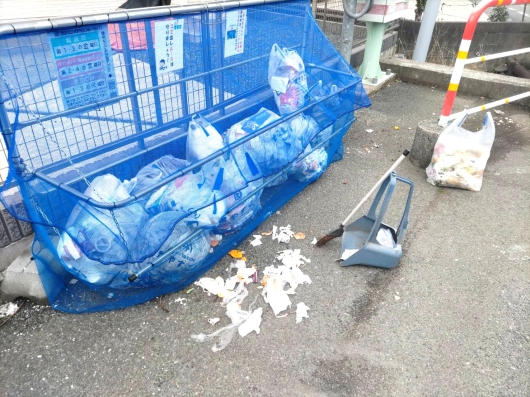 42773 ゴミとカラス.jpg